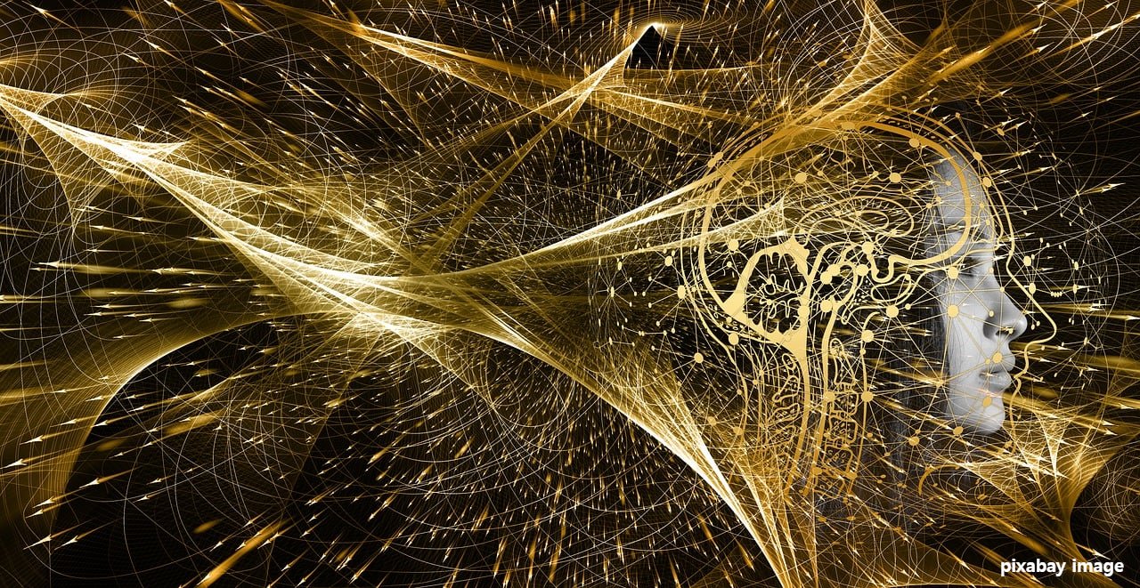 <생활영어회화> 전공하다, 복수전공, 부전공 영어로 : major in 1 quantum-physics, brain science