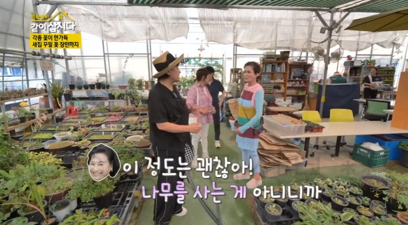 같이삽시다 서천 꽃집, 화훼단지 어디? 각종 꽃이 한가득 새집 꾸밀 꽃 장만까지 박원숙 4 ywAAAAAAQABAAACAUwAOw==
