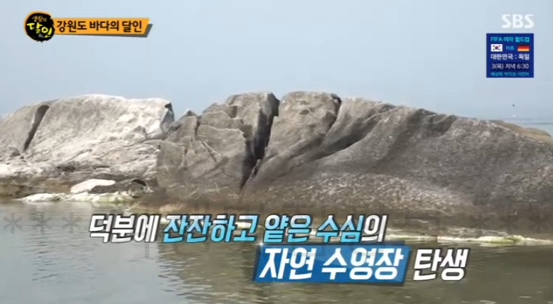강원도 바다의 달인 강원도 아이들이 수영하기 좋은 바닷물 수영장 어디? 생활의달인 7 ywAAAAAAQABAAACAUwAOw==