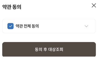 롯데카드로 국민지원금 대상자 확인 및 국민지원금 신청 순서대로 따라하기 7 ywAAAAAAQABAAACAUwAOw==