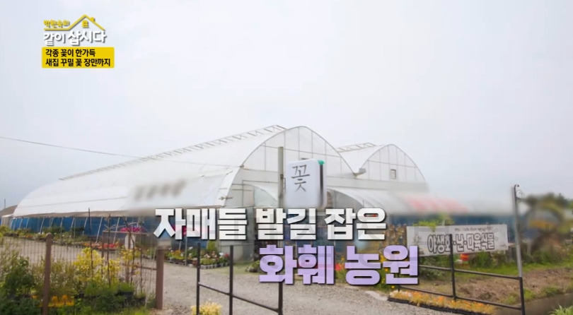 같이삽시다 서천 꽃집, 화훼단지 어디? 각종 꽃이 한가득 새집 꾸밀 꽃 장만까지 박원숙 2 ywAAAAAAQABAAACAUwAOw==