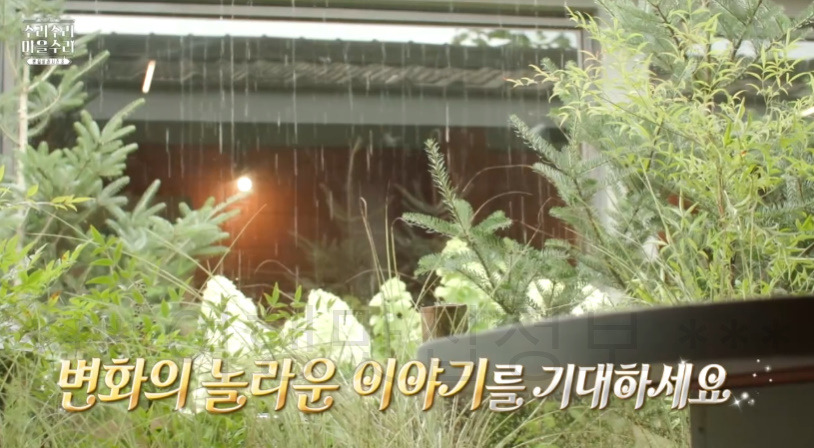 수리수리마을수리 전주 '솥밥' 식당, 한 골목 두 대문 빈집 위치 어디? 9 ywAAAAAAQABAAACAUwAOw==