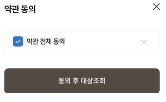 롯데카드로 국민지원금 대상자 확인 및 국민지원금 신청 순서대로 따라하기 9 ywAAAAAAQABAAACAUwAOw==