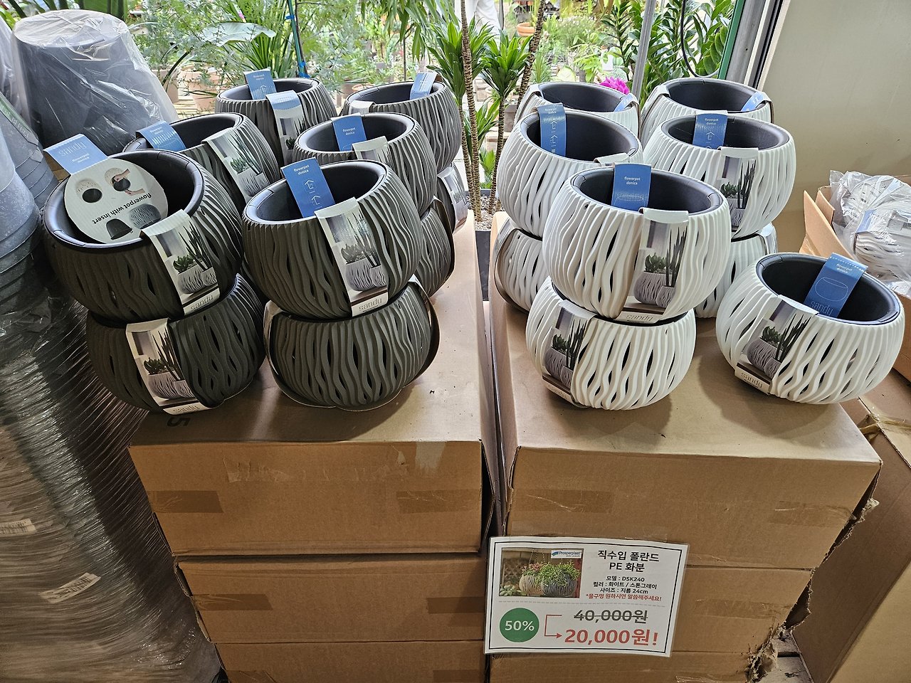 파주 가볼만한곳 :: 무료 수목원 실내 화훼단지 조인폴리아 27 ywAAAAAAQABAAACAUwAOw==