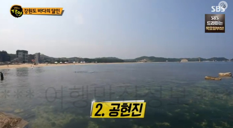 생활의달인 강원도 바다의 달인 스노클링 할 수 있는 곳 추천 - 심곡항 공현진 송지호해수욕장 3 ywAAAAAAQABAAACAUwAOw==