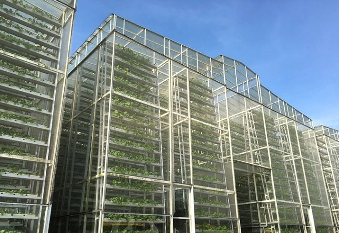 수직농장 '버티컬 팜'(Vertical Farm)이란.. 4 ywAAAAAAQABAAACAUwAOw==