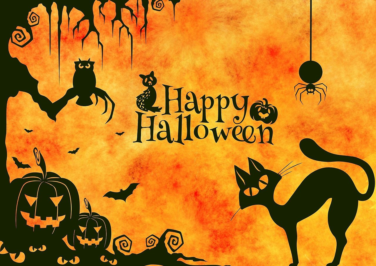 할로윈(Halloween)에 대해서 알아보기 1 ywAAAAAAQABAAACAUwAOw==