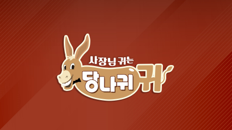 당나귀귀 제주도 '한중일 맥주 축제' 촬영지 장소 위치 어디? 정호영 정지선 송훈 셰프 1 ywAAAAAAQABAAACAUwAOw==