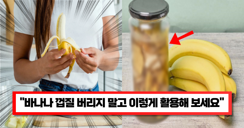 “좋은데 모르는 사람이 많다고..” 바나나 껍질의 놀라운 활용방법 8가지