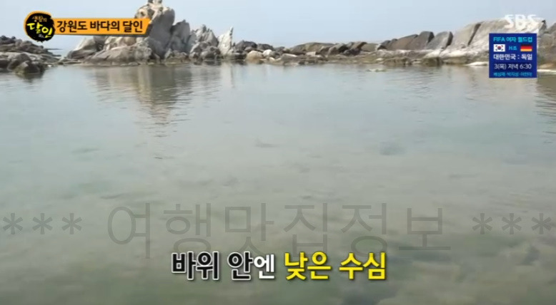 강원도 바다의 달인 강원도 아이들이 수영하기 좋은 바닷물 수영장 어디? 생활의달인 3 ywAAAAAAQABAAACAUwAOw==