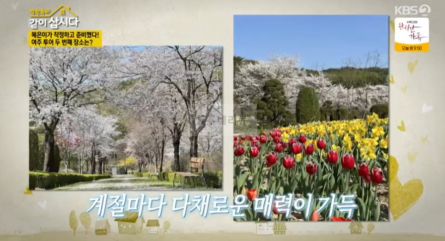 같이삽시다 여주 체험형 수목원, 낙우송, 피크닉 장소 위치 어디? 4 ywAAAAAAQABAAACAUwAOw==
