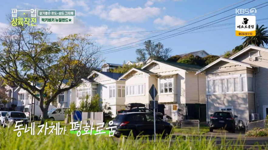 팝업 상륙작전 뉴질랜드 독채 주택 숙소 공개! 뉴질랜드 부촌 2 ywAAAAAAQABAAACAUwAOw==