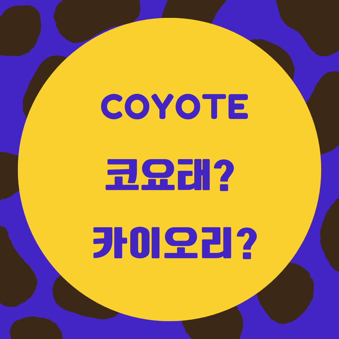 한국인이 자주 실수하는 발음 - Coyote는 '코요테'가 아닙니다 1 한국인이 자주 실수하는 영어 발음-coyote