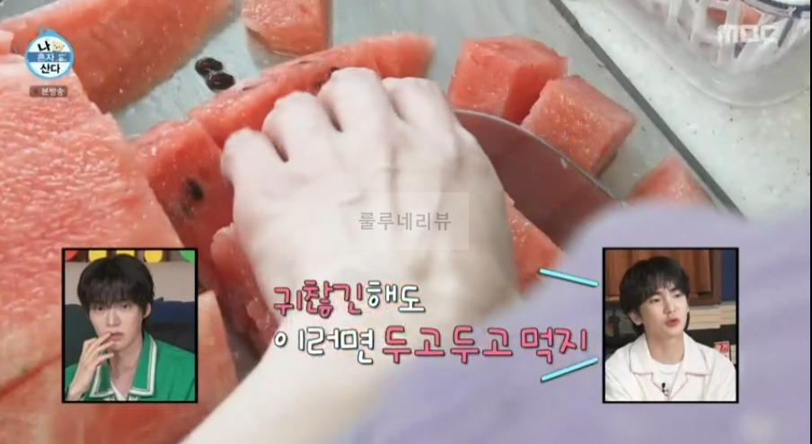 나혼자산다 안재현 수박주스, 수박스무디 만들기 레시피 비율 보기 5 ywAAAAAAQABAAACAUwAOw==