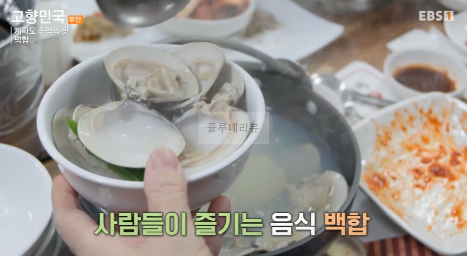 고향민국 백합 식당, 계화도 추억의 맛 백합죽 백합탕 백합찜 백합파전 파는 곳 어디? 이화자 대표 5 ywAAAAAAQABAAACAUwAOw==