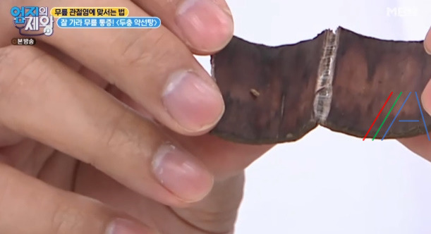 엄지의제왕 두충 약선탕 만드는 법 만들기 - 무릎 통증 완화 돕는 두충 4 ywAAAAAAQABAAACAUwAOw==