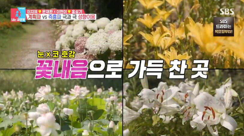 너는내운명 거창 생태 공원 여행지 촬영지 어디? 이지혜 문재완 이현이 홍성기 성향이몽 302회 3 ywAAAAAAQABAAACAUwAOw==