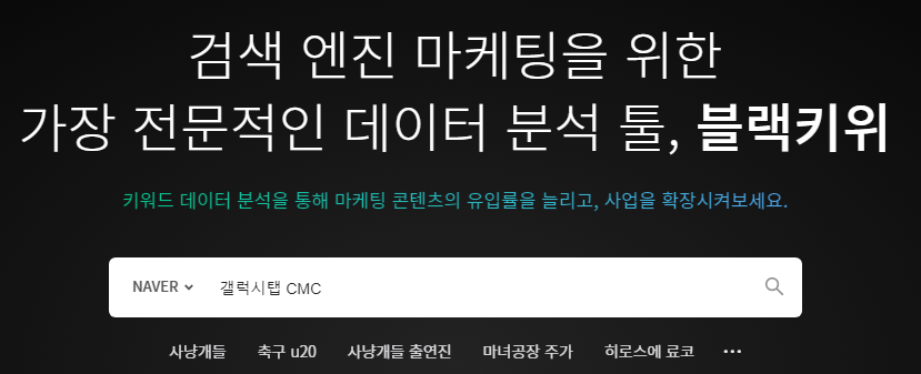 블랙키위(Blackkiwi) 사용법 | 네이버 월간 키워드 정보 확인하기 1 ywAAAAAAQABAAACAUwAOw==