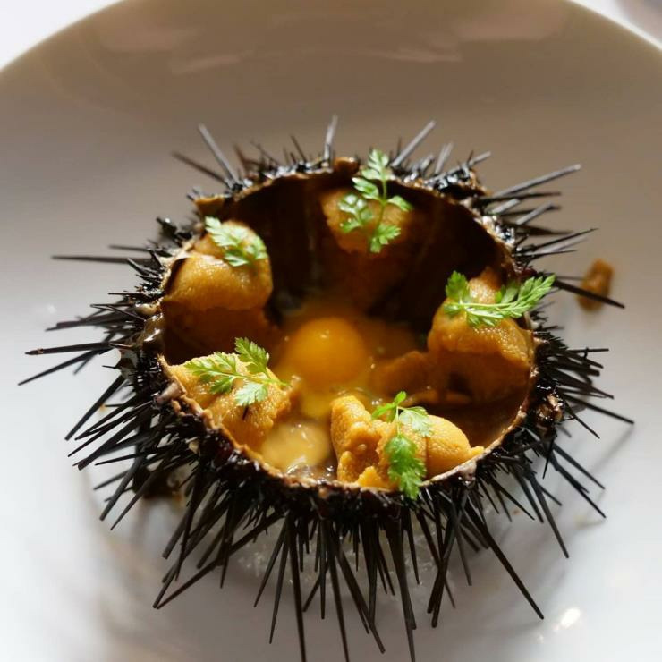 Sea Urchin dish of Table for Four