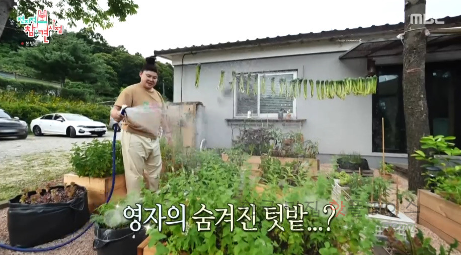 전지적참견시점 이영자 블루베리청 요거트, 제철과일 요구르트 레시피 1 ywAAAAAAQABAAACAUwAOw==