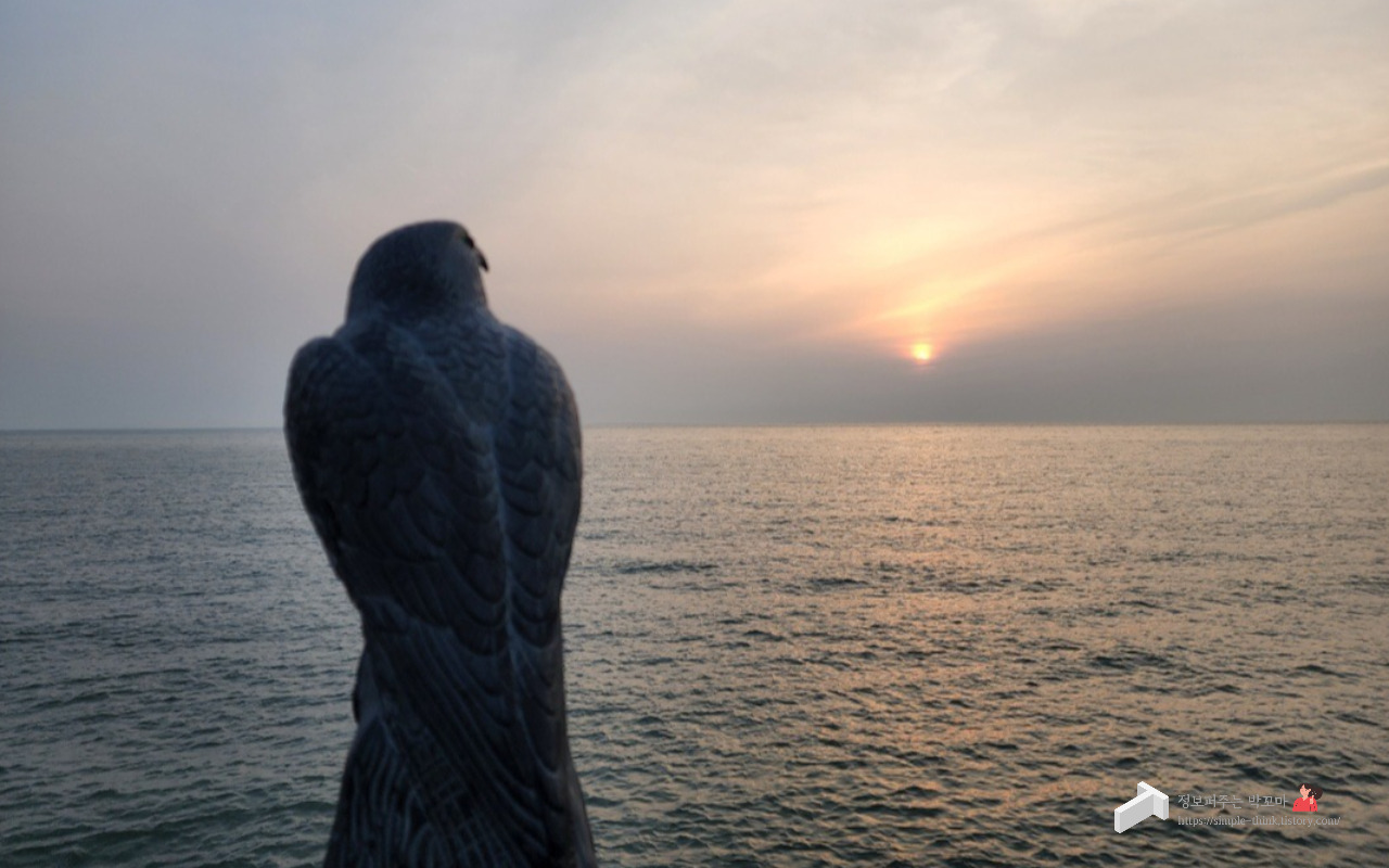 저해상도 흐릿한 사진 무료로 고해상도 선명한 사진으로 편집하는 방법 2 핸드폰을 이용하여 선명한 고해상도 사진 바꾸는 방법