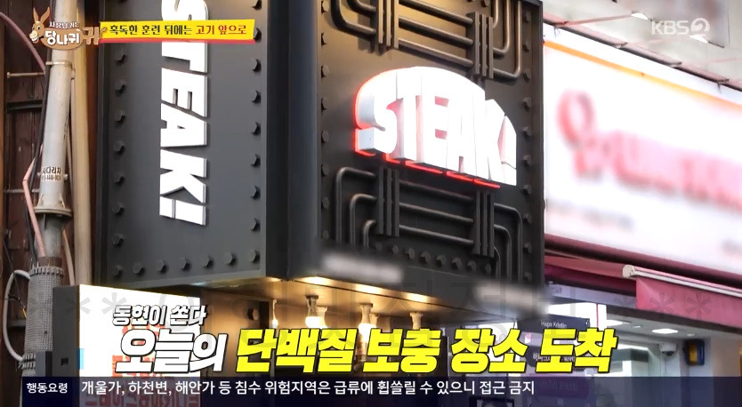 당나귀귀 추성훈 김동현 스테이키 1인 1불판 고깃집 식당 어디? 소고기 살치살 꽃갈비살 2 ywAAAAAAQABAAACAUwAOw==