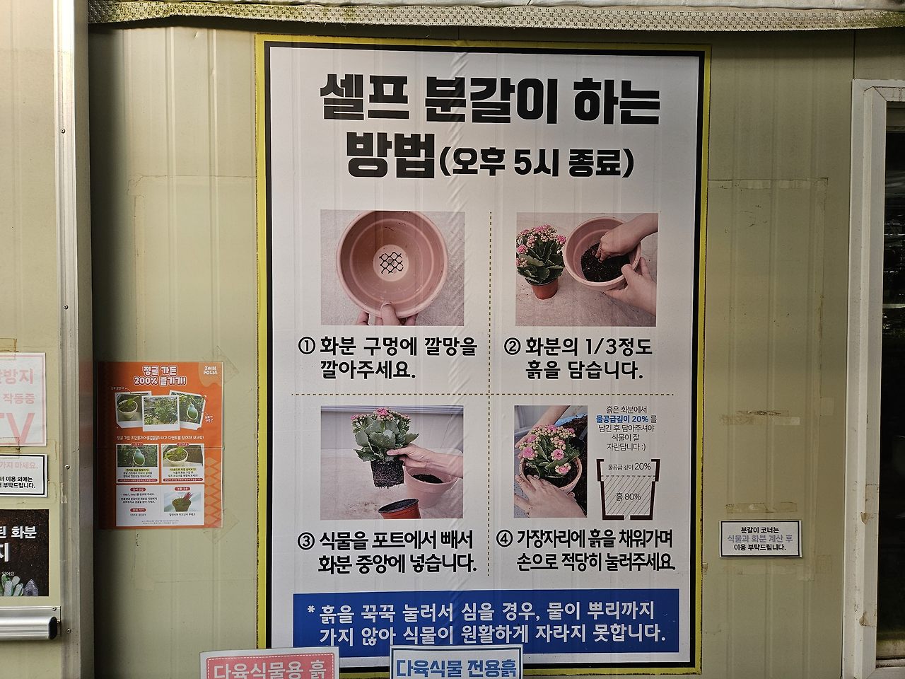 파주 가볼만한곳 :: 무료 수목원 실내 화훼단지 조인폴리아 28 ywAAAAAAQABAAACAUwAOw==