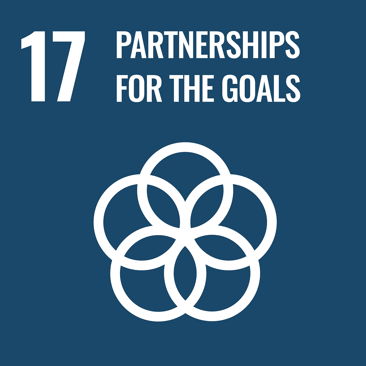 SDGs를 위한 파트너십 - 이행수단 강화와 지속가능발전을 위한 글로벌 파트너십의 활성화