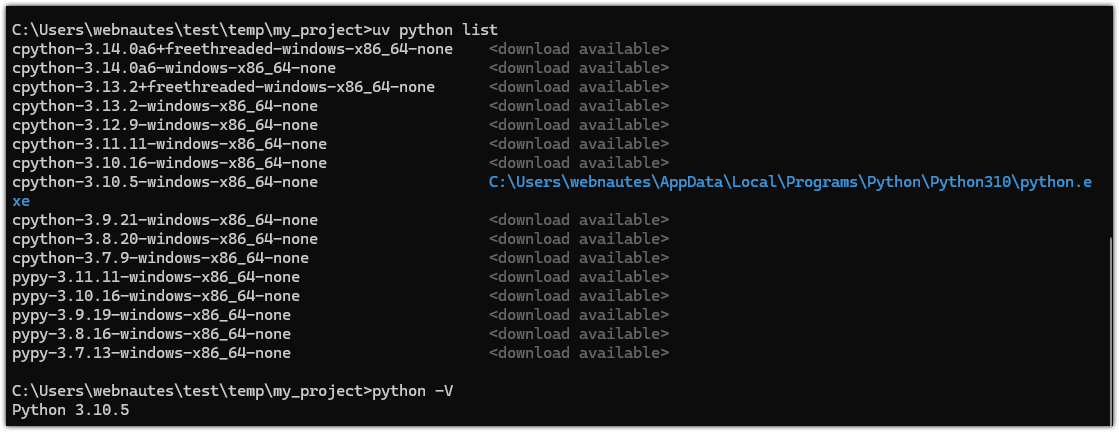 Python uv 사용방법