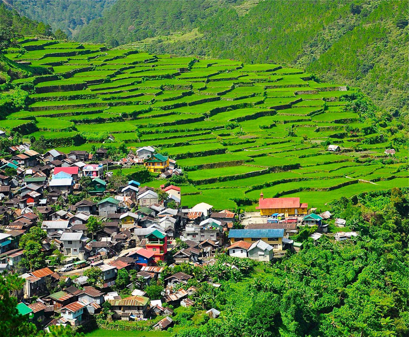 필리핀 아름답고 멋진 계단식 논 풍경들...