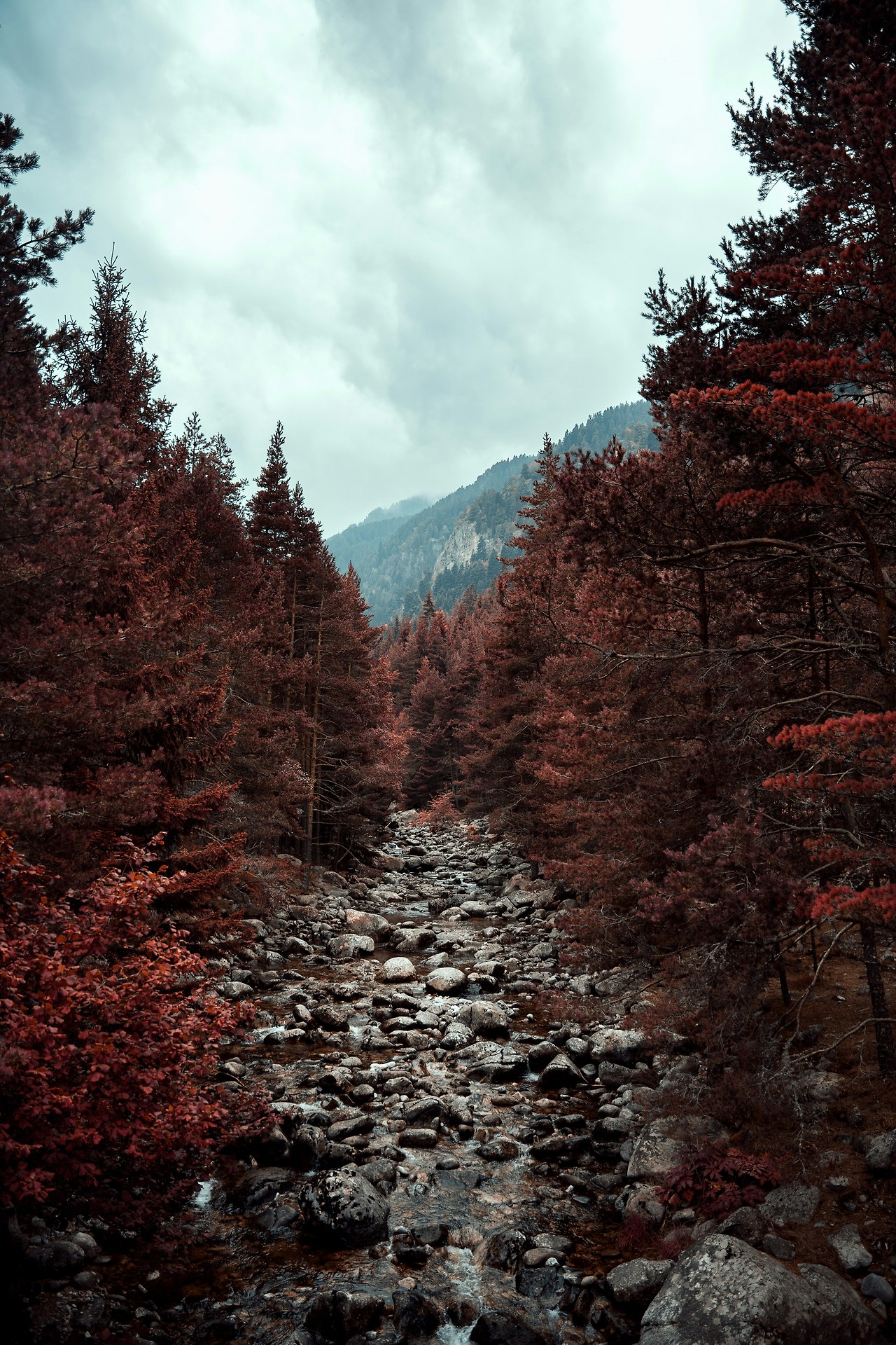 브리타 정수기 필터 교체방법