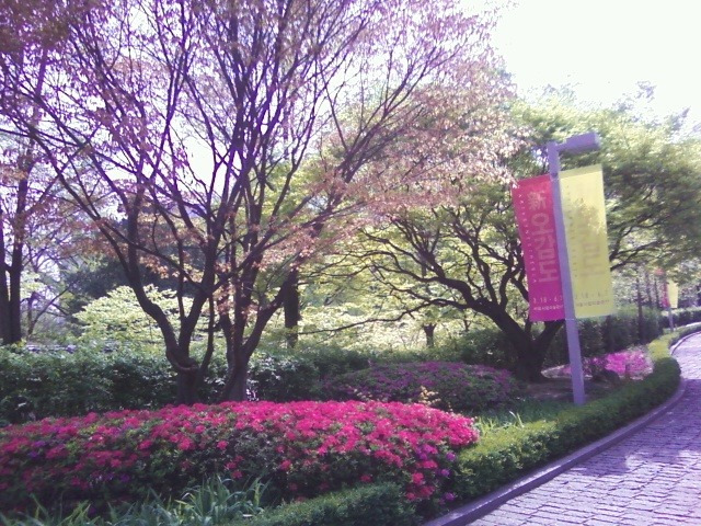 정동길 산책 2