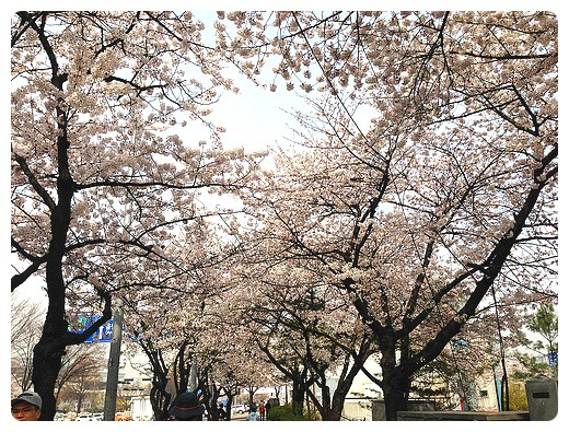 적성, 영속적 은사