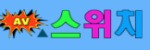 스위치 접속불가