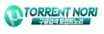 토렌노리 접속불가