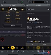 초고속 먹튀 확정