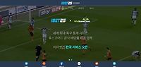 아이벳25