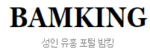 밤킹넷 접속불가