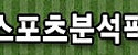 스포츠 분석픽