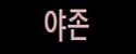 야존 접속불가