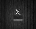 엑스