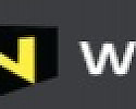 W툰