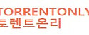 토렌트온리 접속불가