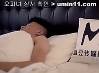 대륙판 AV