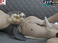 sm 좋아하는 암탉