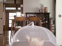 [JUL-587] 이복누나와 나는 결혼전 성관계는 괜찮아-1