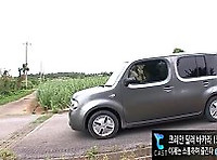 젖소부인바람났네