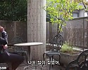 [IPZZ-057] 가정이 무너질 때까지 사랑을 나누었…