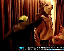 이쁜집주인을 두고 나올수없었던 도둑