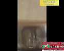 화장실에서의 쿨거래